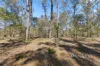 1231-1241 Teviot rd, South Maclean, Qld 4280-Image