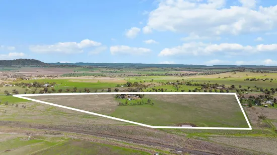 1234 Kamilaroi Highway, Quirindi, NSW 2343-Image