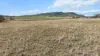 1234 Kamilaroi Highway, Quirindi, NSW 2343-Image