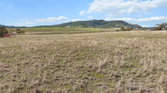 1234 Kamilaroi Highway, Quirindi, NSW 2343-Image