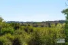 1239 Bruxner Highway, McKees Hill, NSW 2480-Image