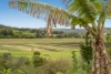 124 Boggumbil Road, Jiggi, NSW 2480-Image
