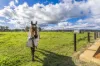 124 Clifton Road, Yarloop, WA 6218-Image