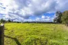 124 Clifton Road, Yarloop, WA 6218-Image