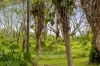 124 Dickson Way, Point Lookout, Qld 4183-Image