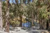 124 O'Learys Lane, Spring Hill, Vic 3444-Image