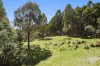 124 O'Learys Lane, Spring Hill, Vic 3444-Image