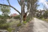 124 Prizibilla Road, Bletchley, SA 5255-Image