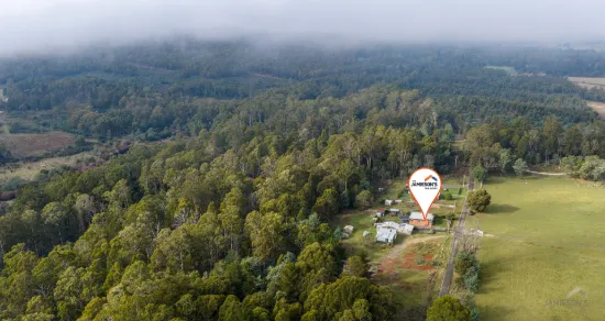 124 Wadleys Road, Reedy Marsh, Tas 7304