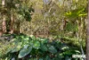 1241 Nambour Connection Road, Kulangoor, Qld 4560-Image