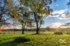 1249 Kangaroobie Road, Belgravia, NSW 2800-Image