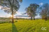 1249 Kangaroobie Road, Belgravia, NSW 2800-Image