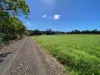 1249 Tully Mission Beach Road, Carmoo, Qld 4852-Image