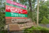 124E Castle Hill Road, West Pennant Hills, NSW 2125-Image