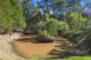 125 Deephouse Road, Bauple, Qld 4650-Image