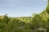 125 Fernside Avenue, Briar Hill, Vic 3088-Image