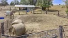125 Hartmanns Road, Moola, Qld 4406-Image