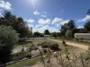 125  Moore Street, Kingaroy, Qld 4610-Image