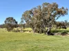 125 Scotts Road, Lillicur, Vic 3371-Image