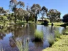 125 Scotts Road, Lillicur, Vic 3371-Image