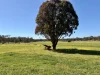 125 Scotts Road, Lillicur, Vic 3371-Image
