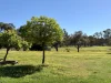 125 Scotts Road, Lillicur, Vic 3371-Image