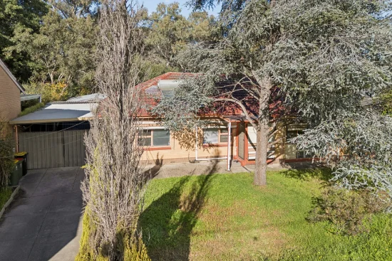 125 Smart Road, Modbury, SA 5092