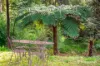 1255 Little Yarra Road, Gilderoy, Vic 3797-Image