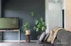 1258 Oldina Road, Oldina, Tas 7325-Image