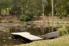 126 Eudlo Road, Mooloolah Valley, Qld 4553-Image