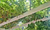 126 George Street, Devonport, Tas 7310-Image