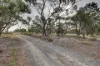 126 Hartmann Road, Monarto, SA 5254-Image