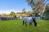 126 Princes Highway, Thirroul, NSW 2515-Image
