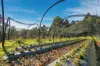 126 White Timber Road, Lachlan, Tas 7140-Image