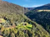 126 White Timber Road, Lachlan, Tas 7140-Image