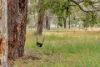 1260 Bailup Road, Wooroloo, WA 6558-Image