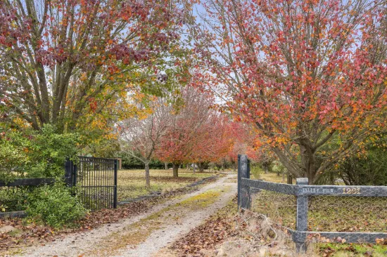 1261 Joadja Road, Joadja, NSW 2575