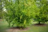 1261 Joadja Road, Joadja, NSW 2575-Image