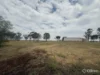 127-175 Hardys Road, Melton West, Vic 3337-Image