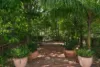 127 Fernberg Road, Paddington, Qld 4064-Image