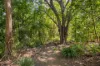 127 Fleming Road, Hemmant, Qld 4174-Image
