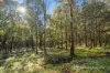 127 Old Stanley Road, Beechworth, Vic 3747-Image