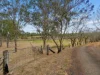 1270 Brisbane Valley Highway, Fernvale, Qld 4306-Image
