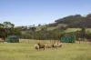 1275 Bacchus Marsh Road, Bullengarook VIC 3437-Image