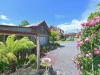 1276 Lyell Highway, Sorell Creek, Tas 7140-Image
