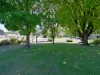 1276 Lyell Highway, Sorell Creek, Tas 7140-Image