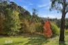 1276 Pinnacle Road, Orange, NSW 2800-Image