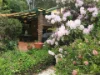 1276 Pinnacle Road, Orange, NSW 2800-Image