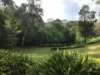 1276 Pinnacle Road, Orange, NSW 2800-Image
