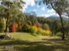 1276 Pinnacle Road, Orange, NSW 2800-Image